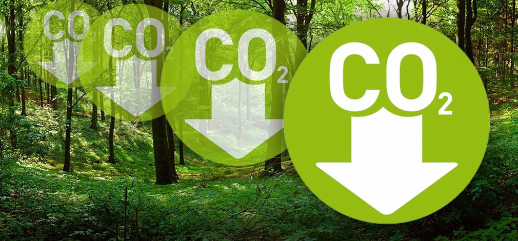 The Challenge of Carbon Dioxide Reduction