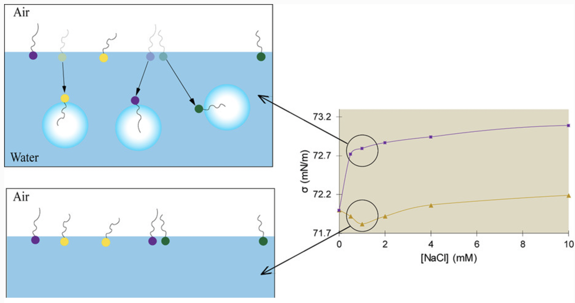 Utilization of Ultrafine Gas Bubbles to Investigate the Jones–Ray Effect of Diluted Salt Solutions